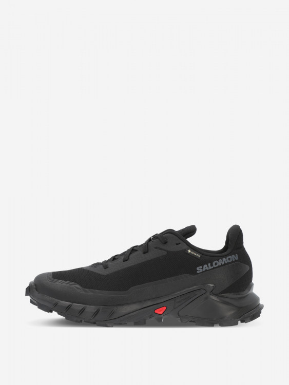 Кроссовки женские Salomon Alphacross 5 GTX