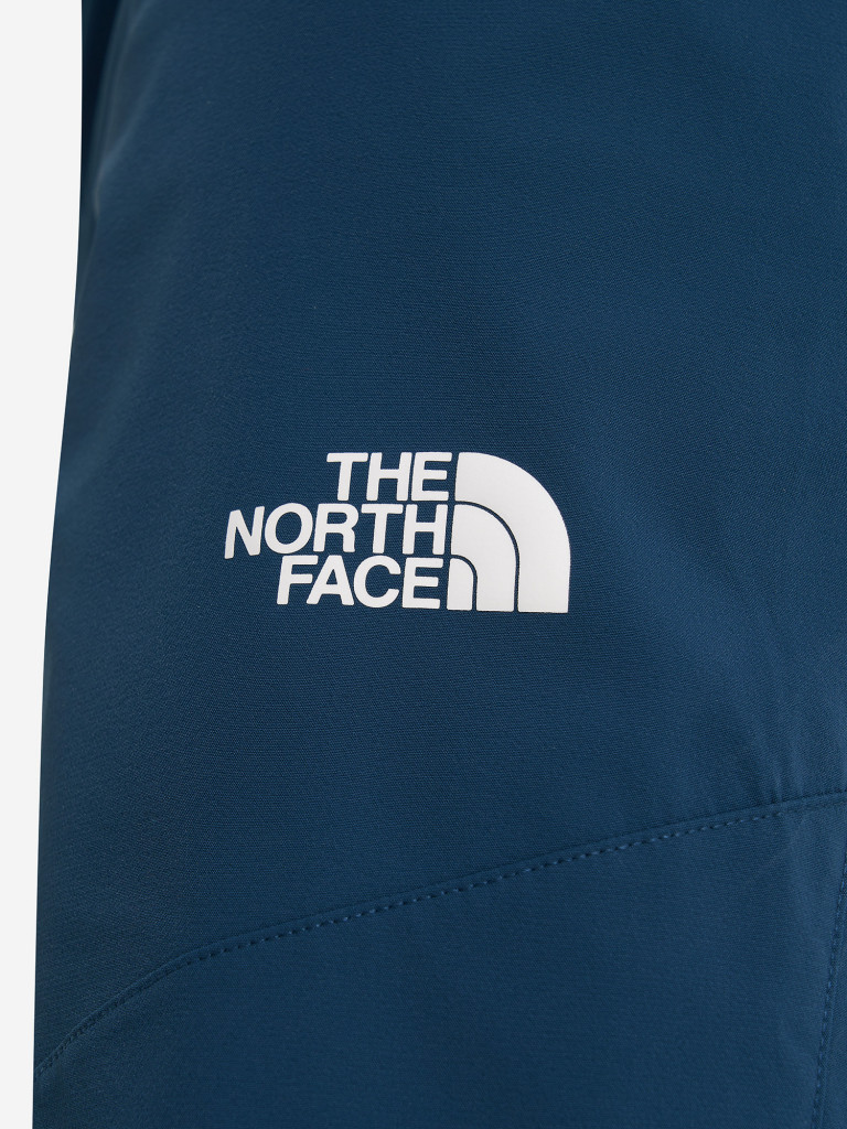 Брюки мужские The North Face Alpine Ridge