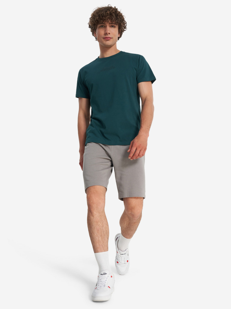 Футболка мужская Ellesse