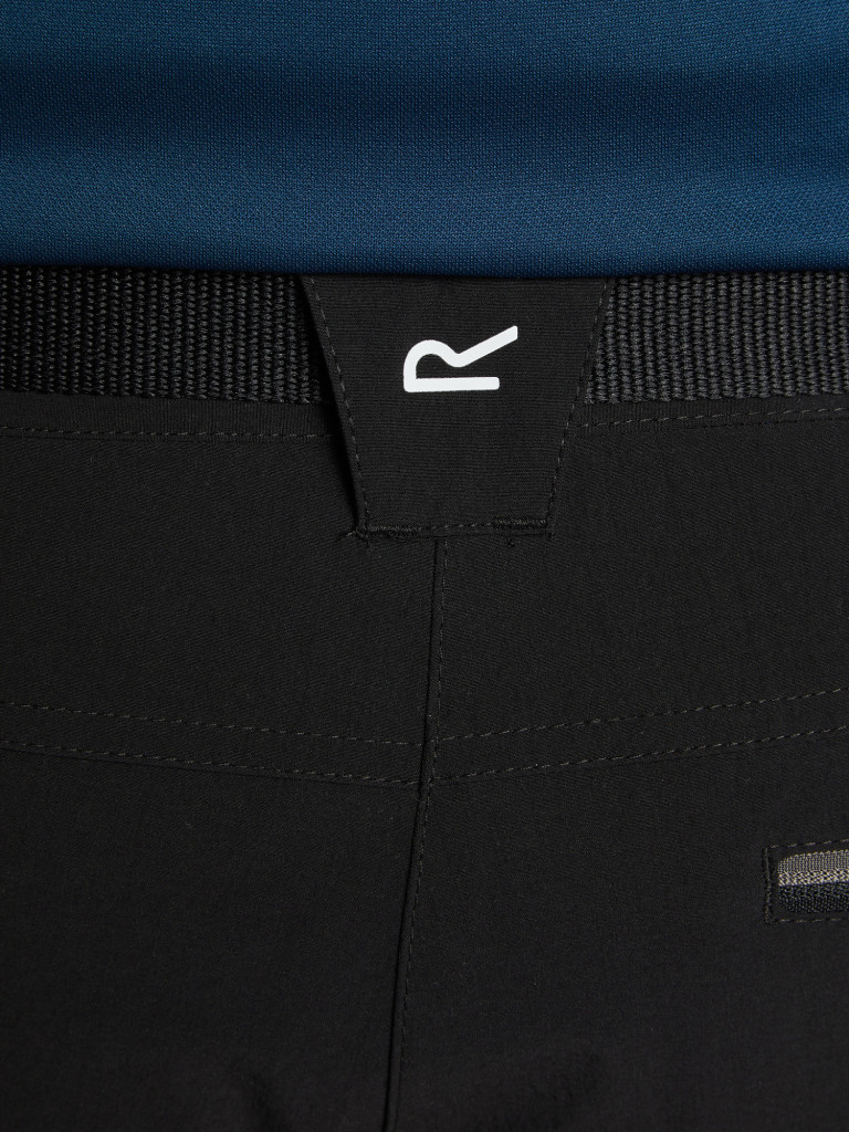 Шорты мужские Regatta Xert III