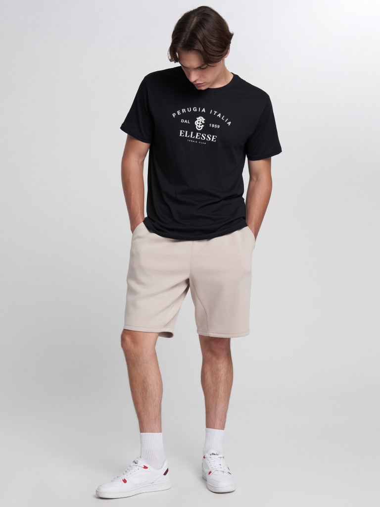 Футболка мужская Ellesse