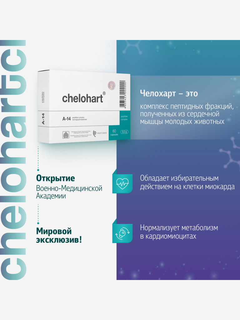 Комплекс натуральных пептидных фракций сердечной мышцы для восстановления сердечно-сосудистой системы - Челохарт N60