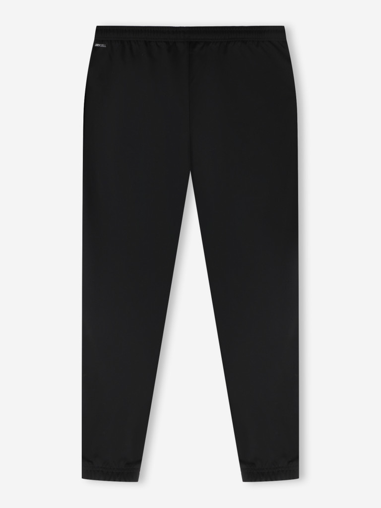 Брюки мужские PUMA Teamrise Poly Training
