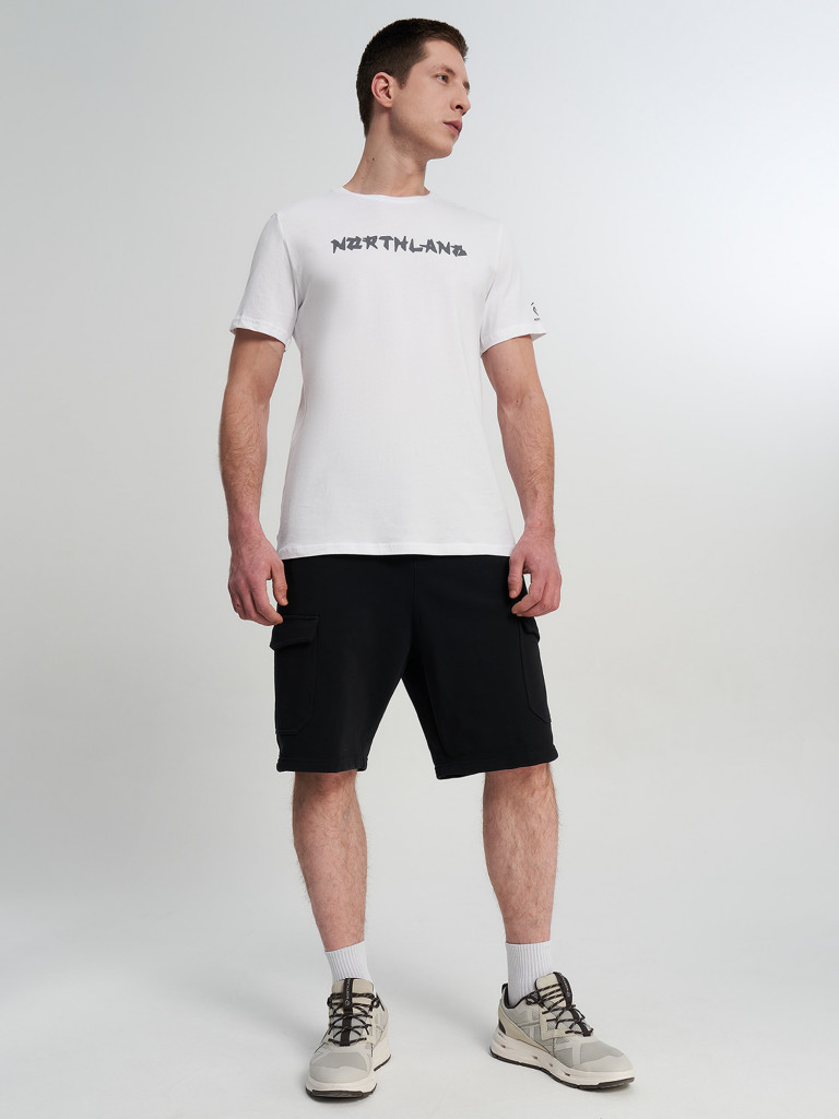 Футболка мужская Northland