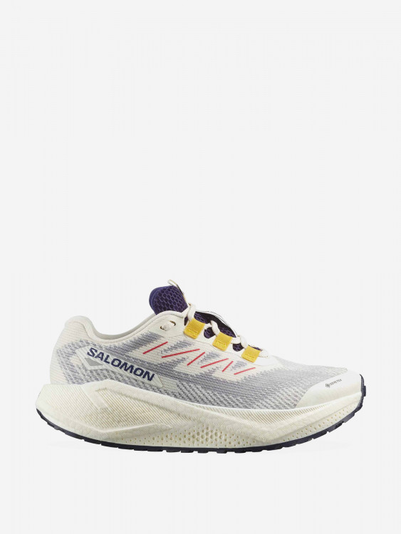 Кроссовки беговые Salomon Aero Blaze 3 GRVL GTX W