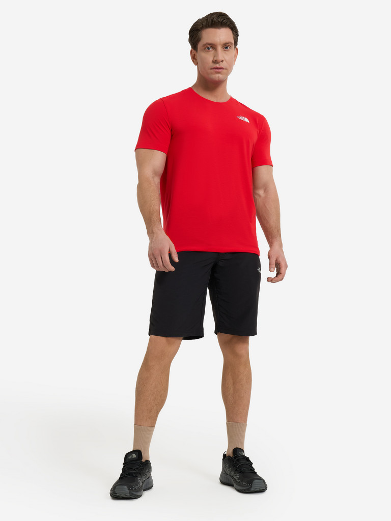 Футболка мужская The North Face Lightning Alpine