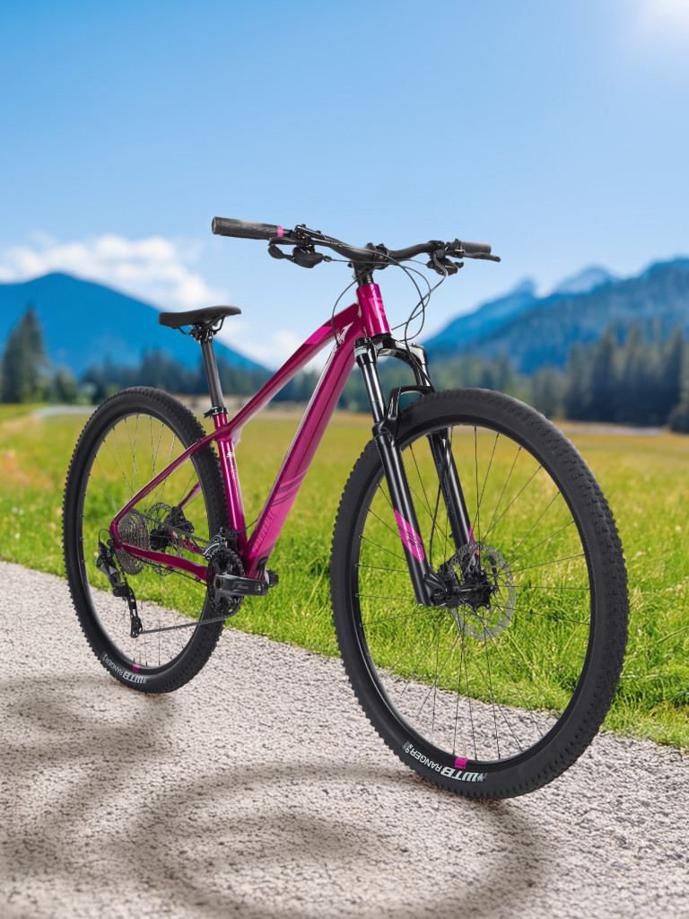 Велосипед горный женский Rock Machine Catherine 40 29"