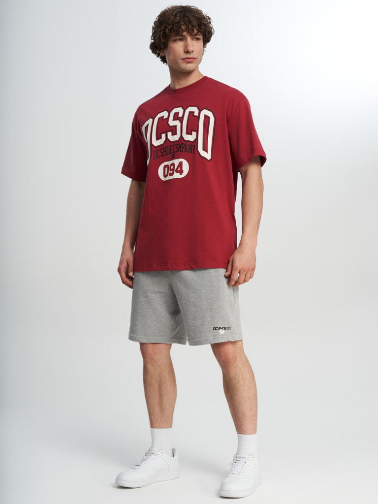 Футболка мужская DC Shoes Elective