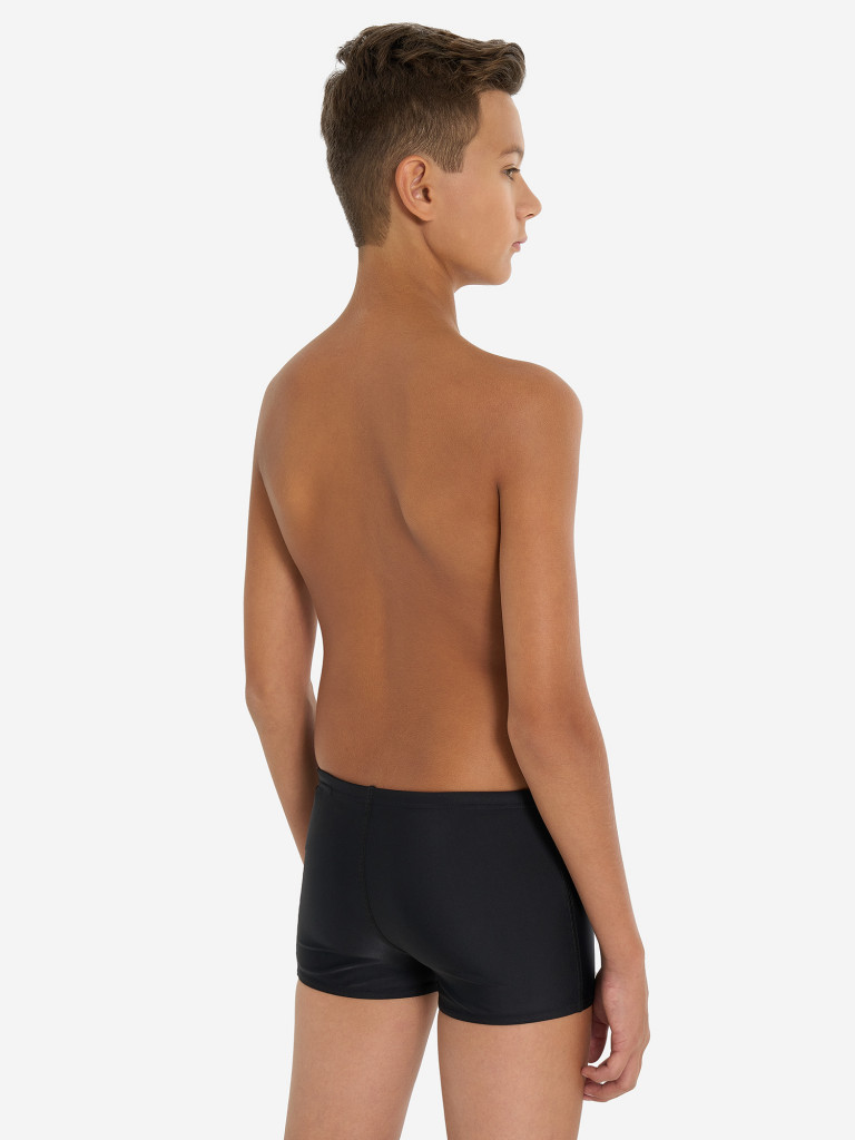 Плавки-шорты для мальчиков Speedo Plastisol Placement