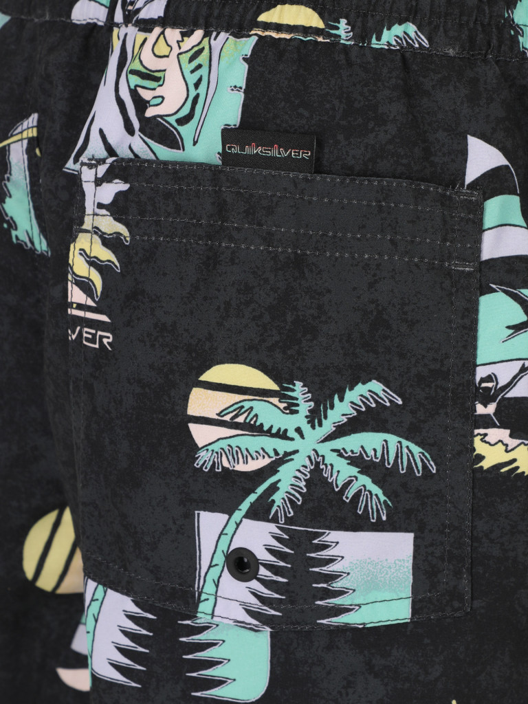 Шорты для мальчиков Quiksilver Island Pulse
