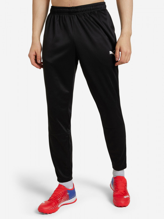 Брюки мужские PUMA Teamliga