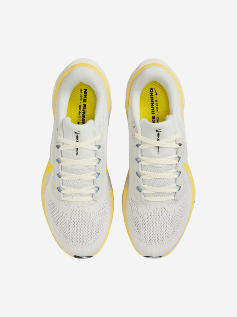 Кроссовки Nike Air Zoom Pegasus 41