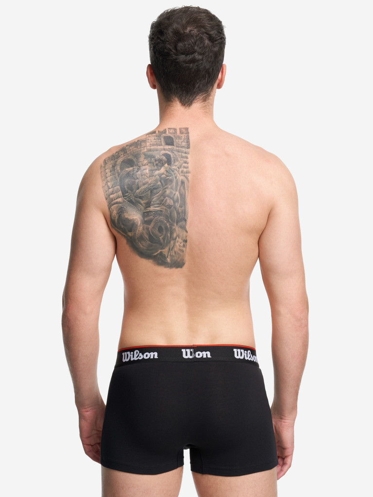Трусы мужские Wilson, 2 штуки