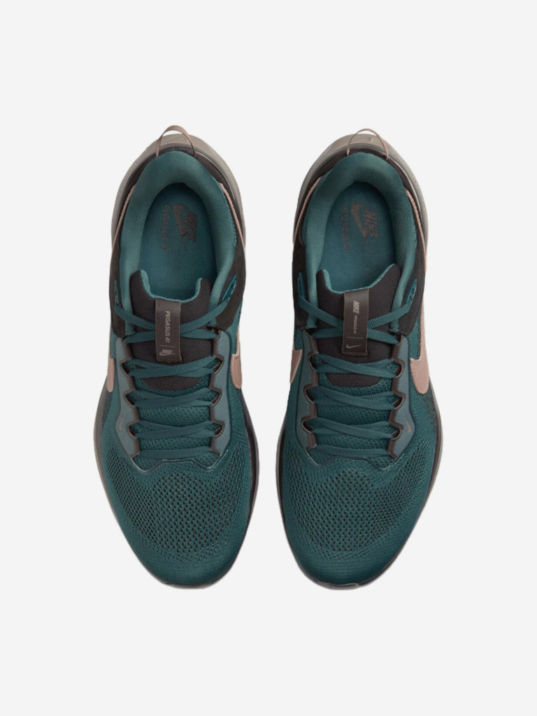 Кроссовки Nike Air Zoom Pegasus 41