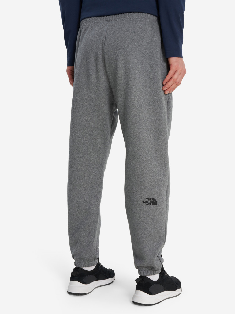 Брюки мужские The North Face Simple Dome