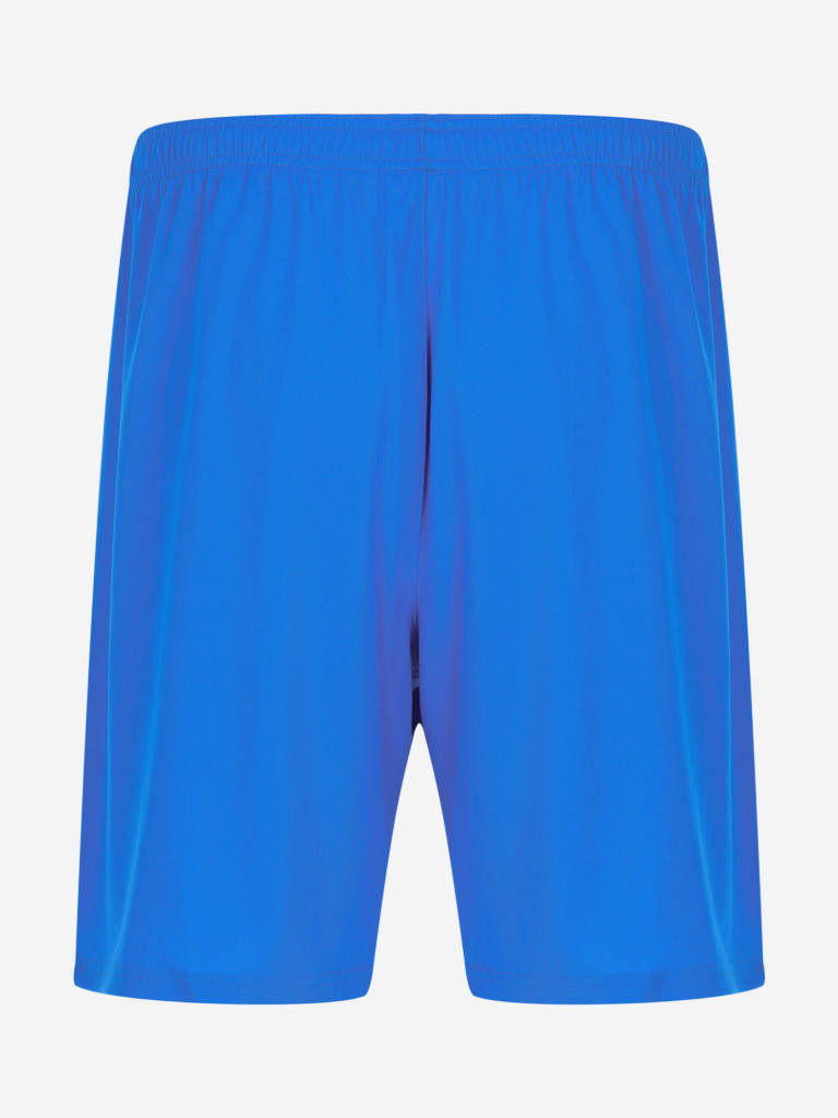 Шорты мужские PUMA teamLIGA