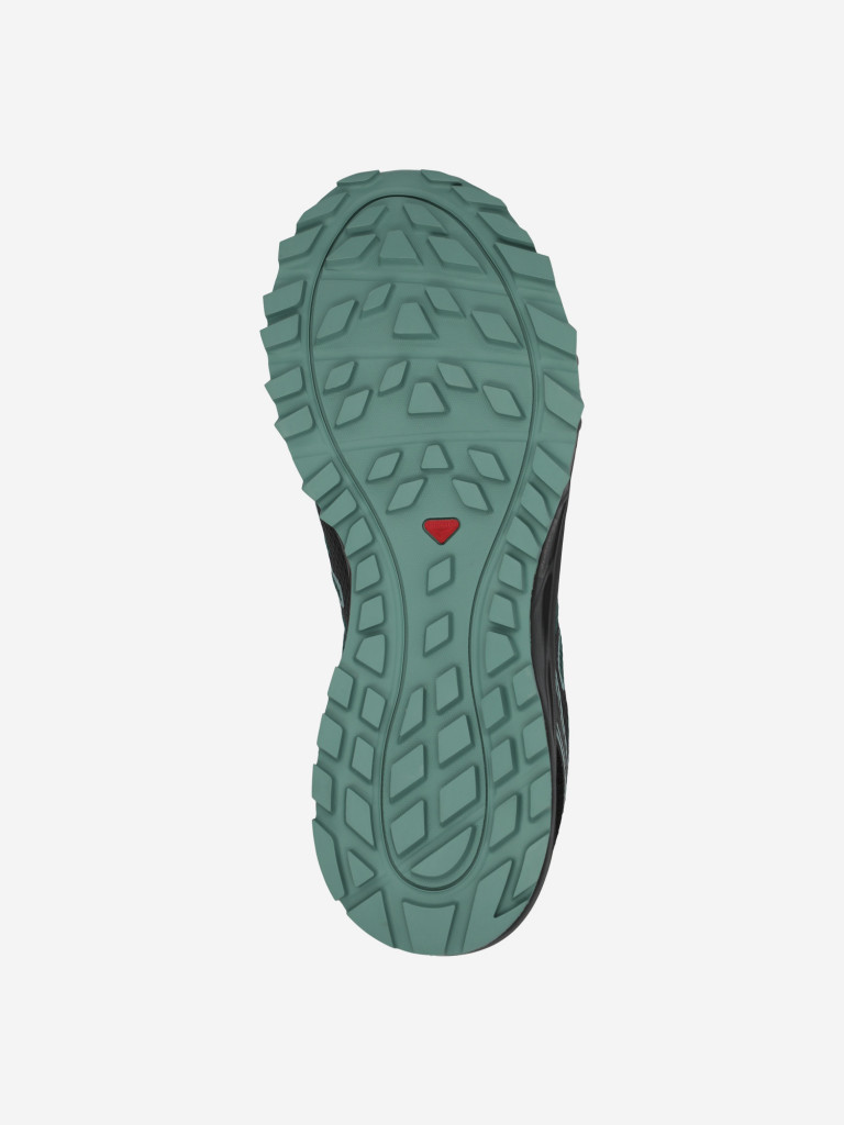 Кроссовки женские Salomon Lioneer GTX W