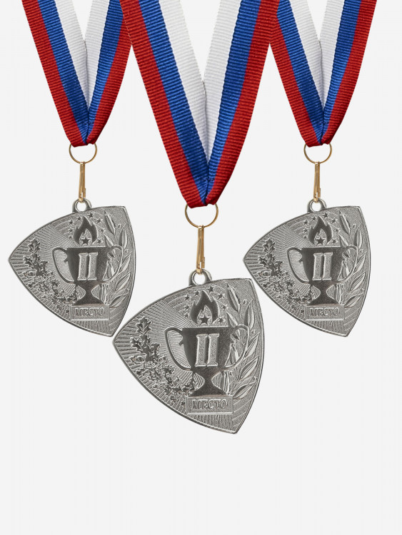 Комплект из трех серебряных медалей за 2 место