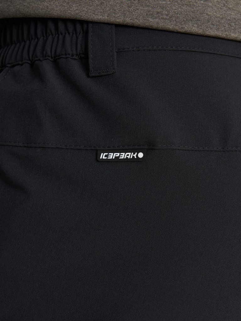Брюки мужские IcePeak Baird