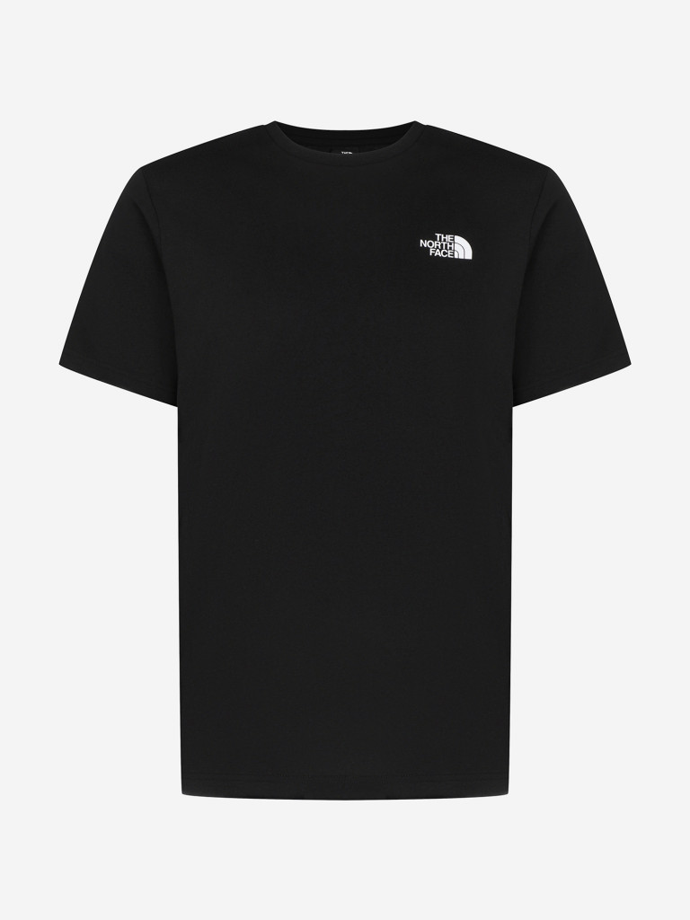 Футболка мужская The North Face Box Nse