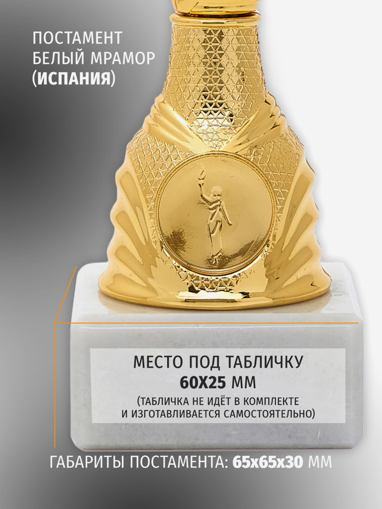 Кубок спортивный для награждения победителей 28 см золотой