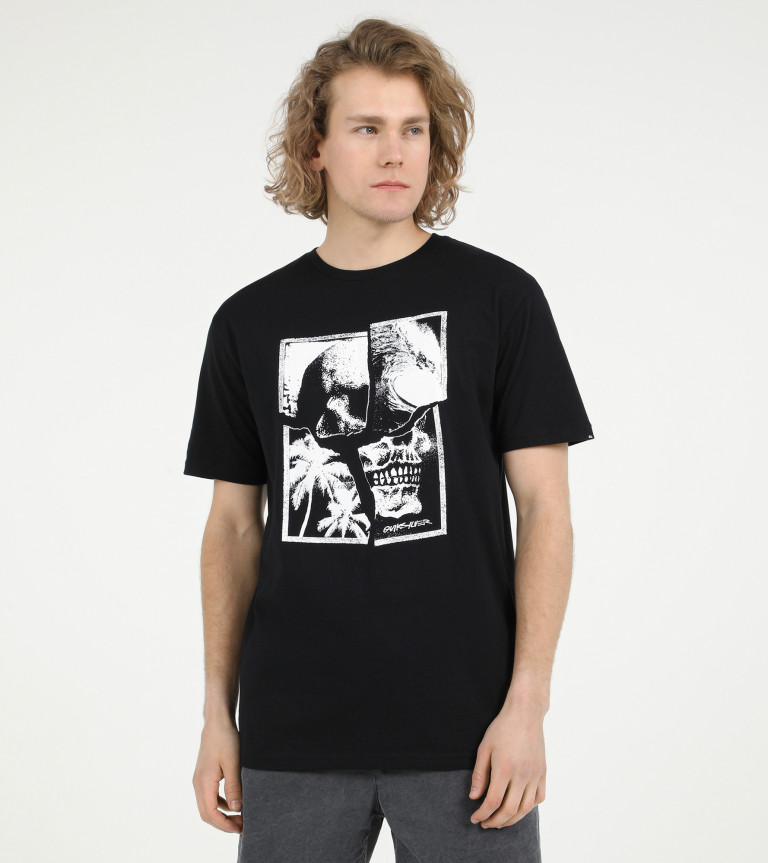 Футболка мужская Quiksilver Flaxton