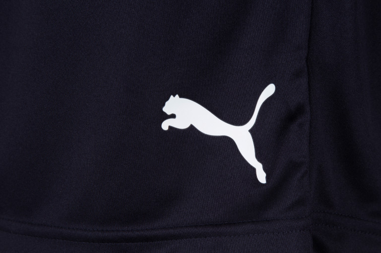 Шорты мужские PUMA Ftblplay