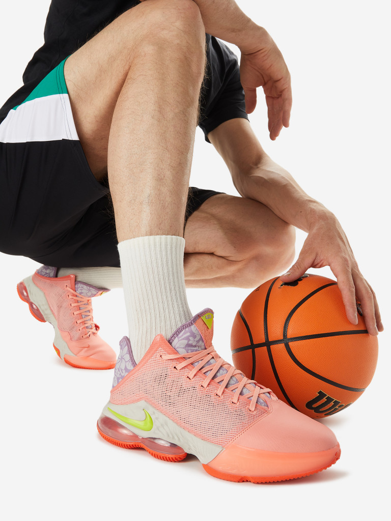 Кроссовки мужские Nike Lebron 19 Low