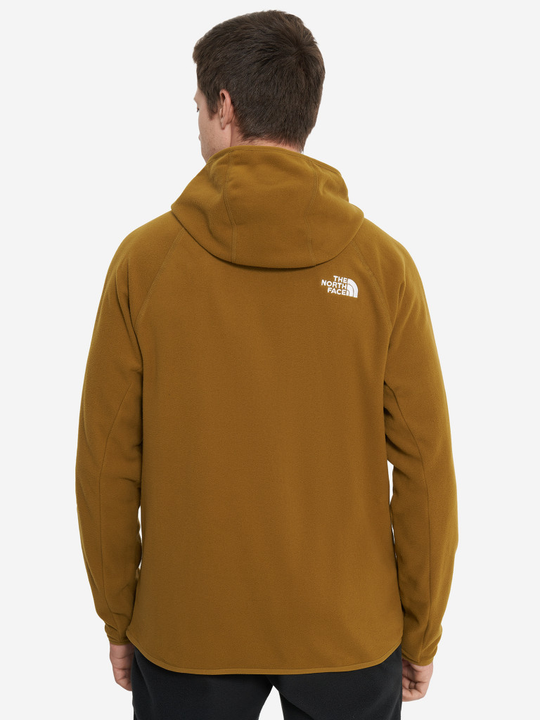 Худи мужское The North Face 100 Glacier
