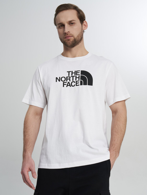 Футболка мужская The North Face Evolution