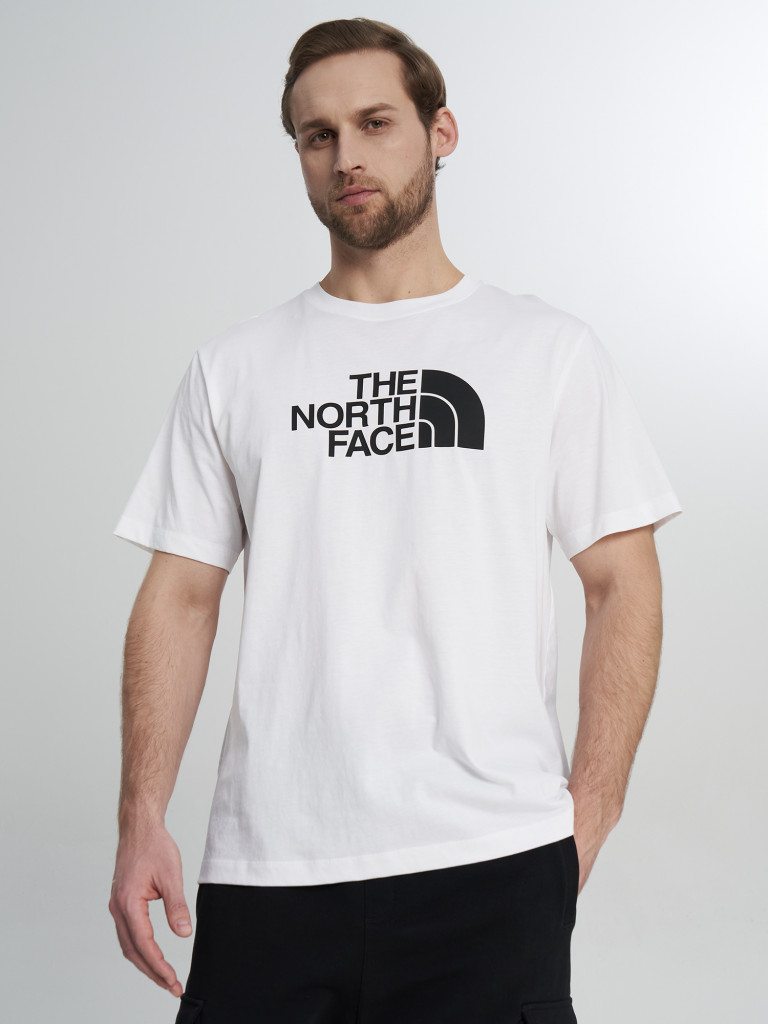 Футболка мужская The North Face Evolution