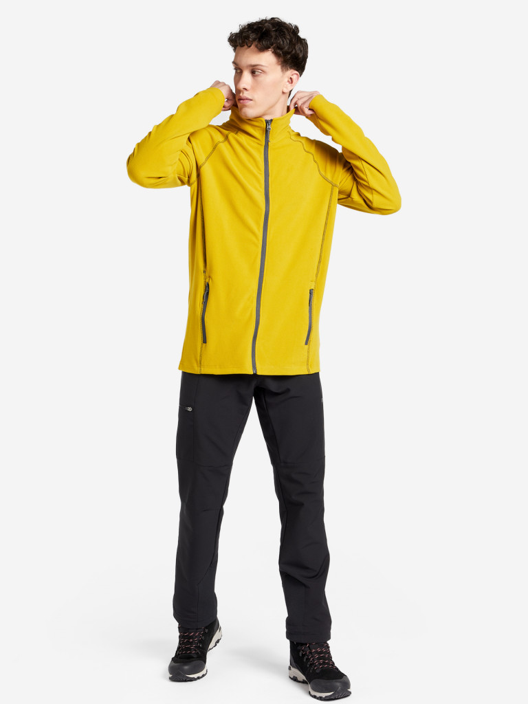 Джемпер флисовый мужской IcePeak Bevington