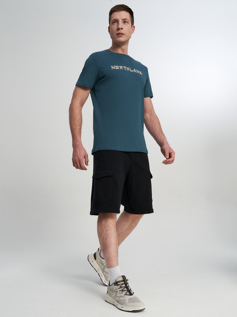 Футболка мужская Northland