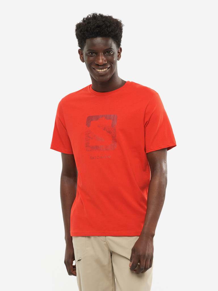Футболка мужская Salomon Outlife Logo
