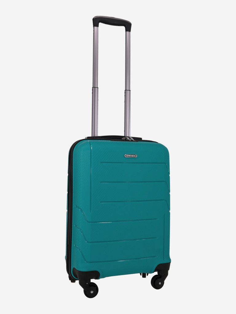 Чемодан RION+ S