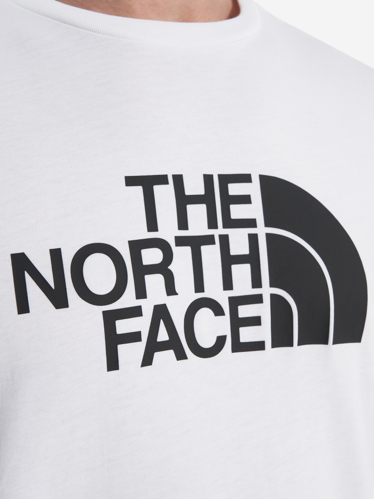 Футболка мужская The North Face Easy