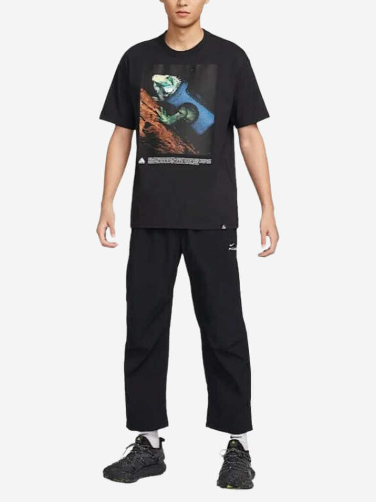 Футболка мужская повседневная Nike Iguana