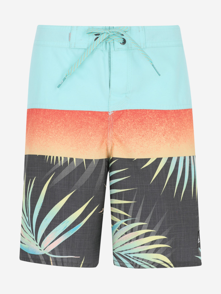 Шорты для мальчиков Quiksilver Everyday Panel