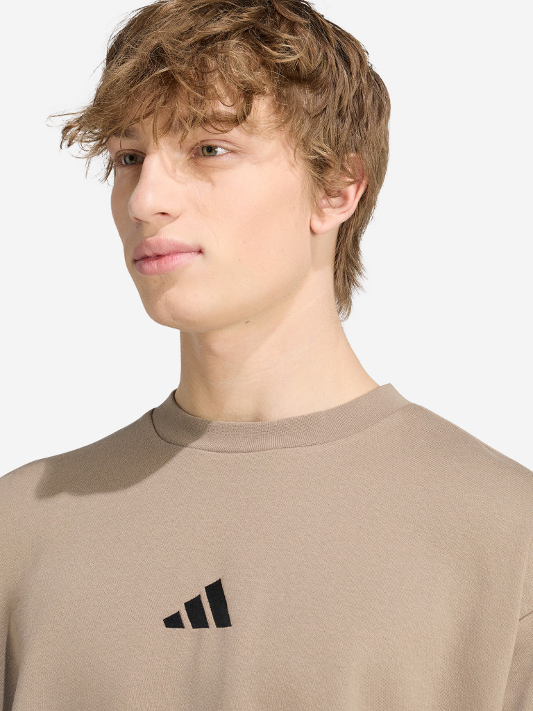 Толстовка мужская adidas
