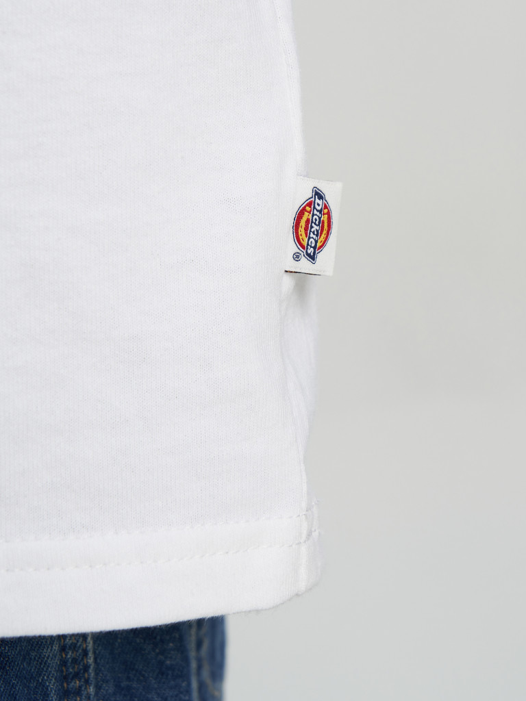 Брюки мужские DICKIES Baggy Straight Work