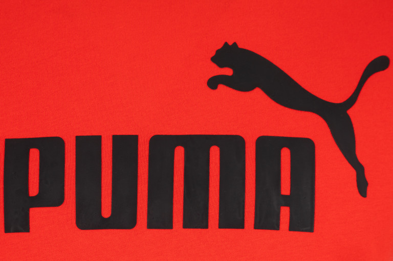 Футболка мужская PUMA Big Logo