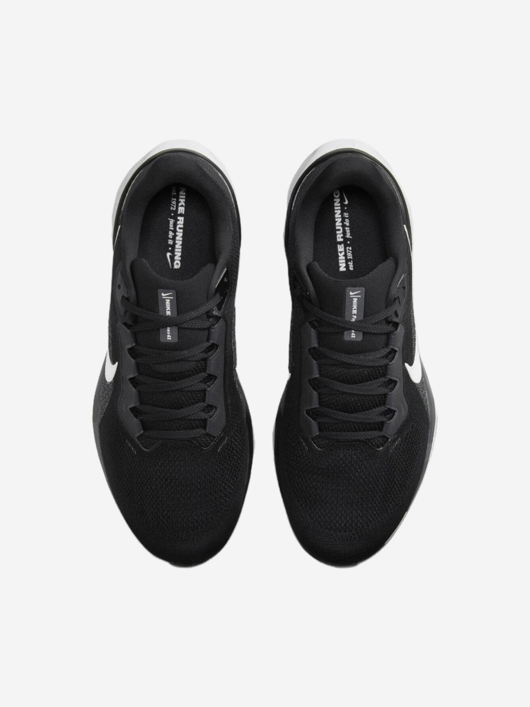 Кроссовки Nike Air Zoom Pegasus 41