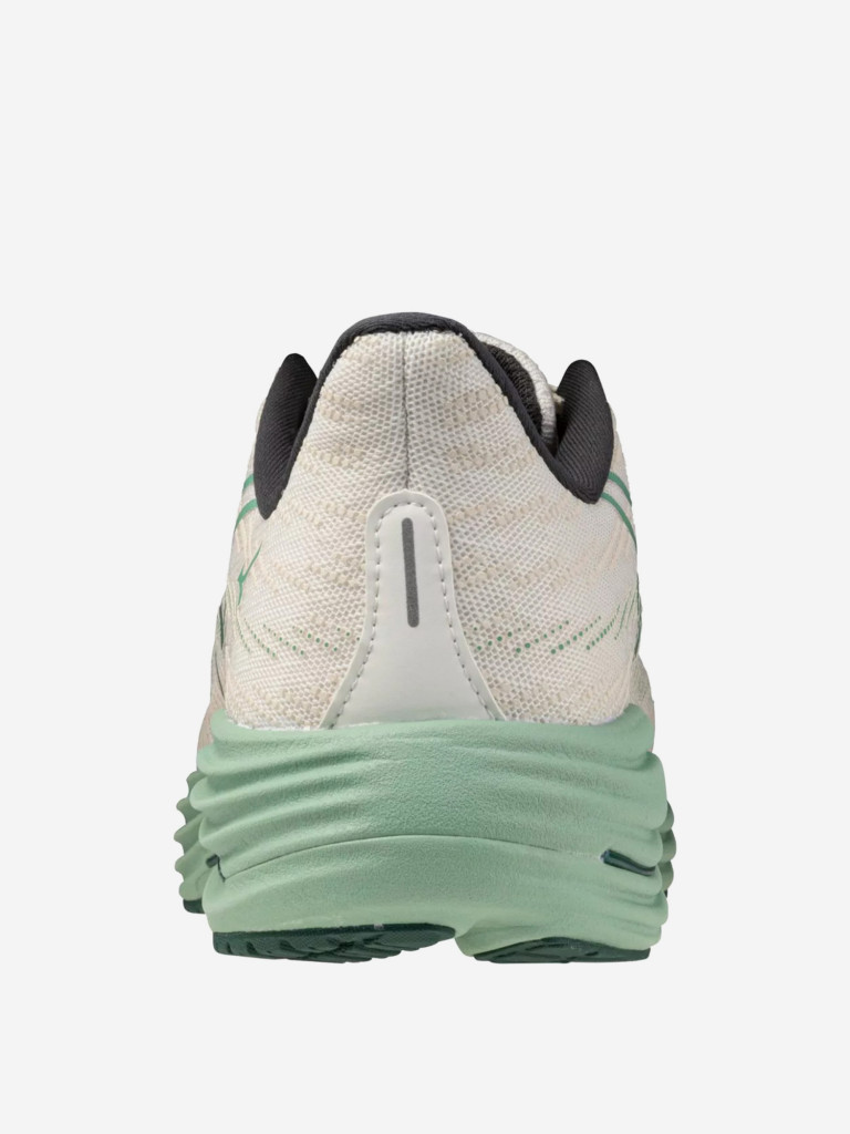 Кроссовки мужские Mizuno Wave Rider 29