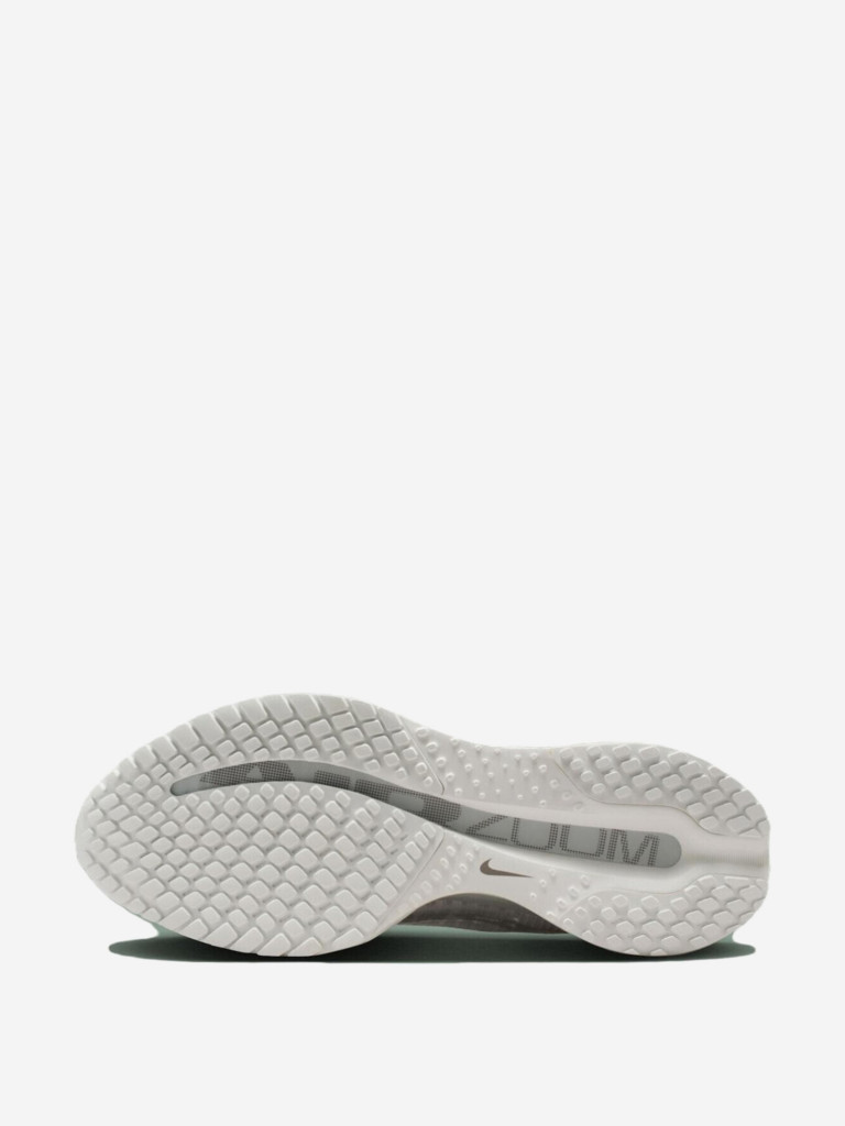 Кроссовки Nike Pegasus Premium