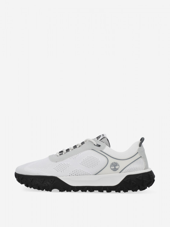 Кроссовки мужские Timberland Greenstride Motion 6