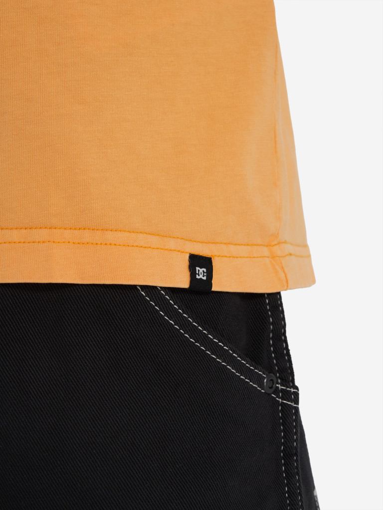 Футболка мужская DC Shoes Off Course
