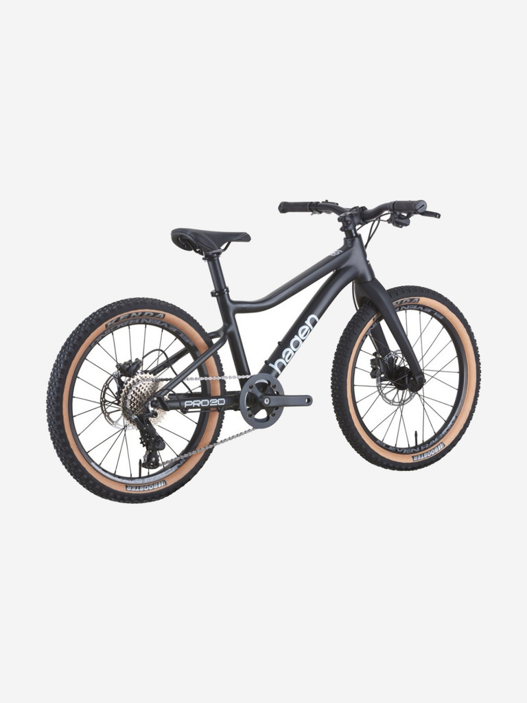Велосипед Hagen Teen Pro 20 Carbon