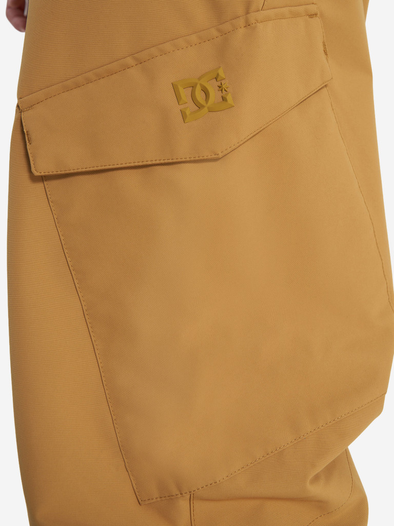 Брюки утепленные мужские DC Shoes Banshee