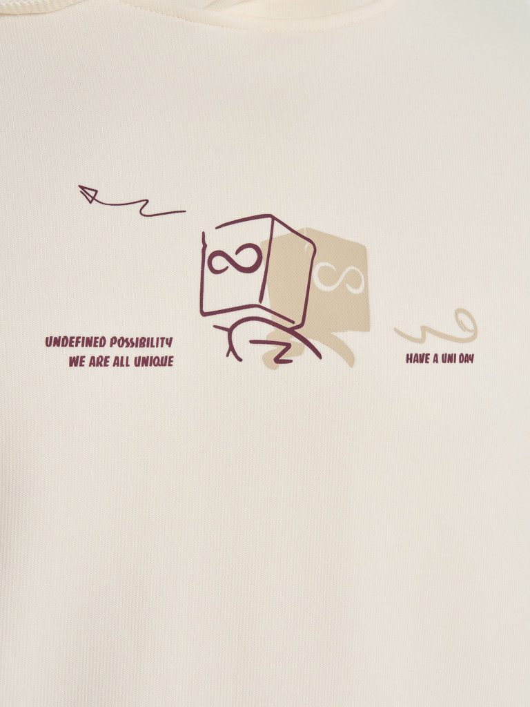 Худи мужское Erke