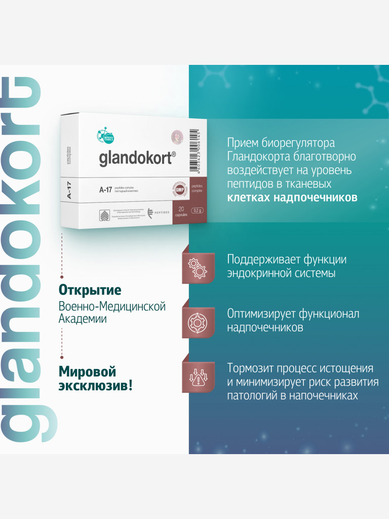 Натуральные пептиды надпочечников - Гландокорт 20 капсул